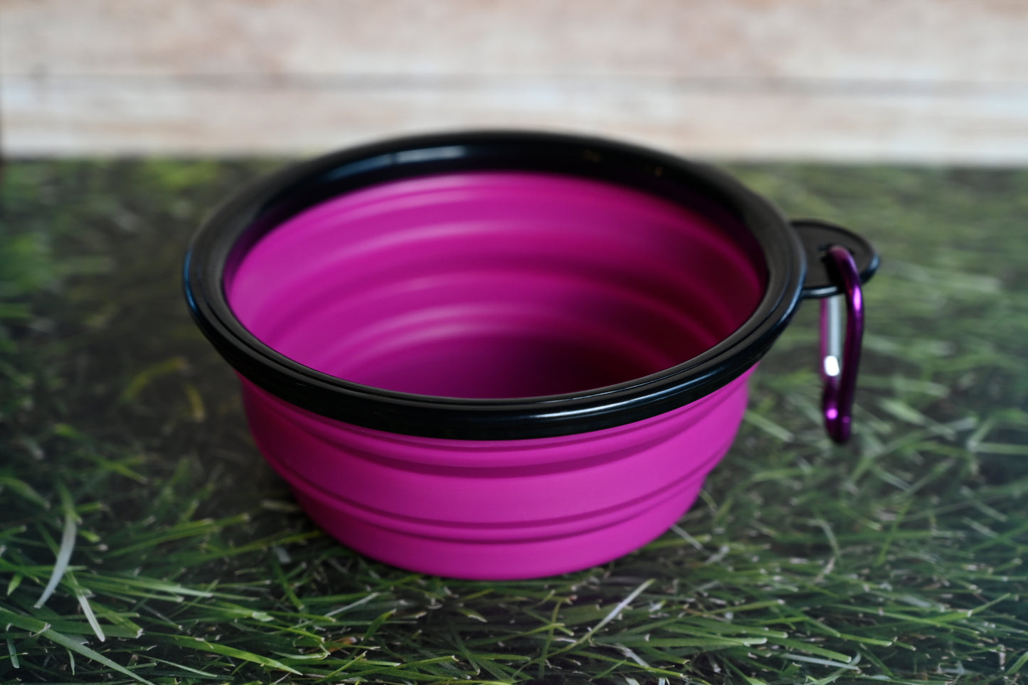 Collapsable Water Bowl