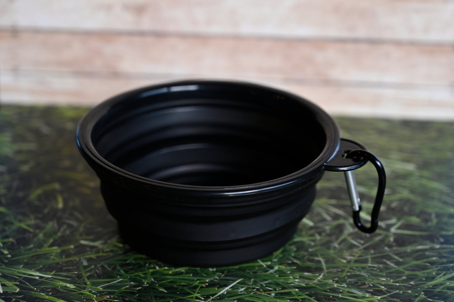 Collapsable Water Bowl