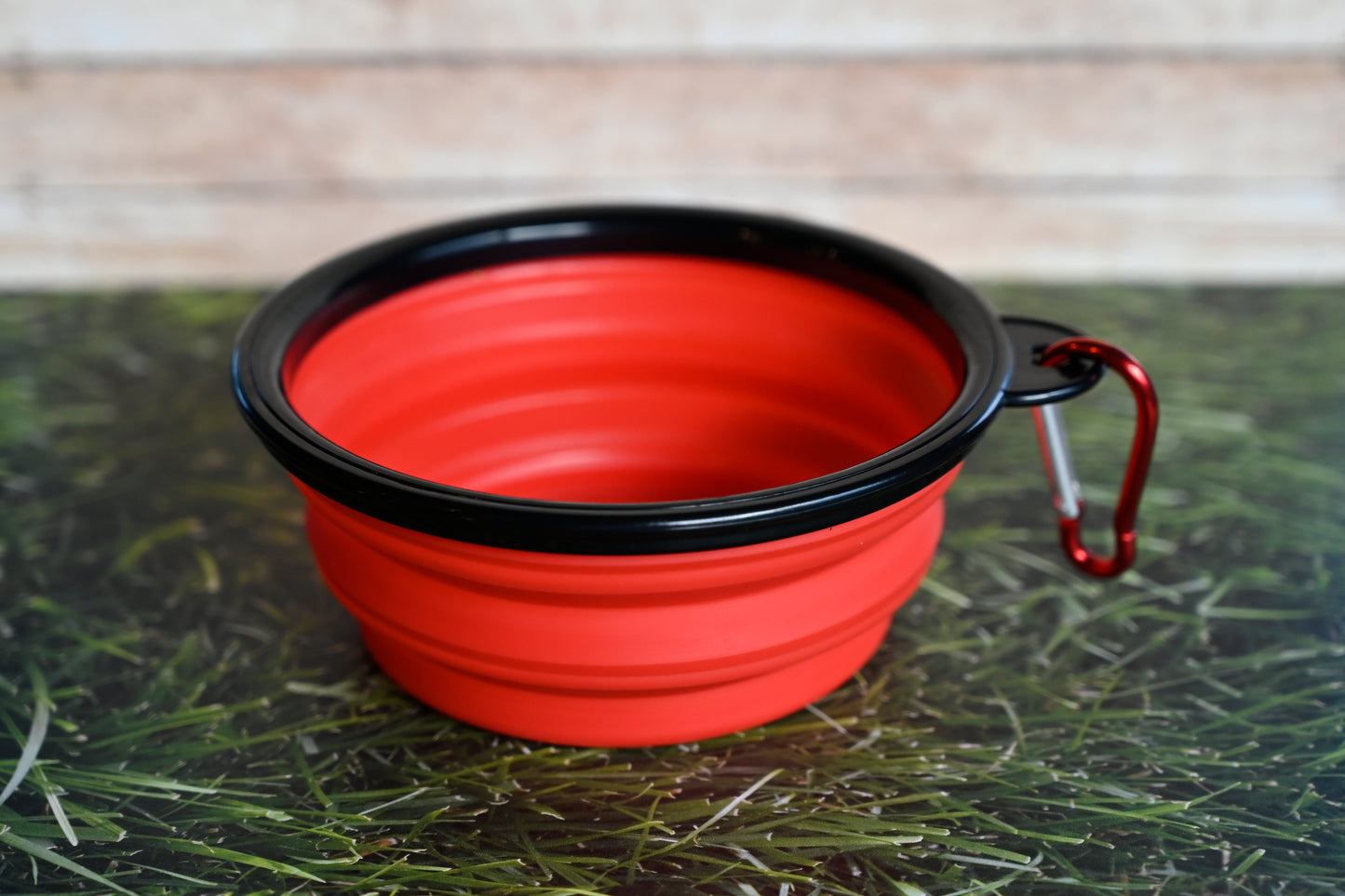 Collapsable Water Bowl