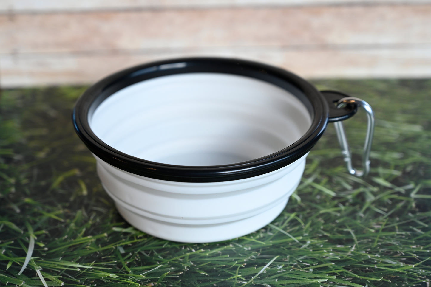 Collapsable Water Bowl