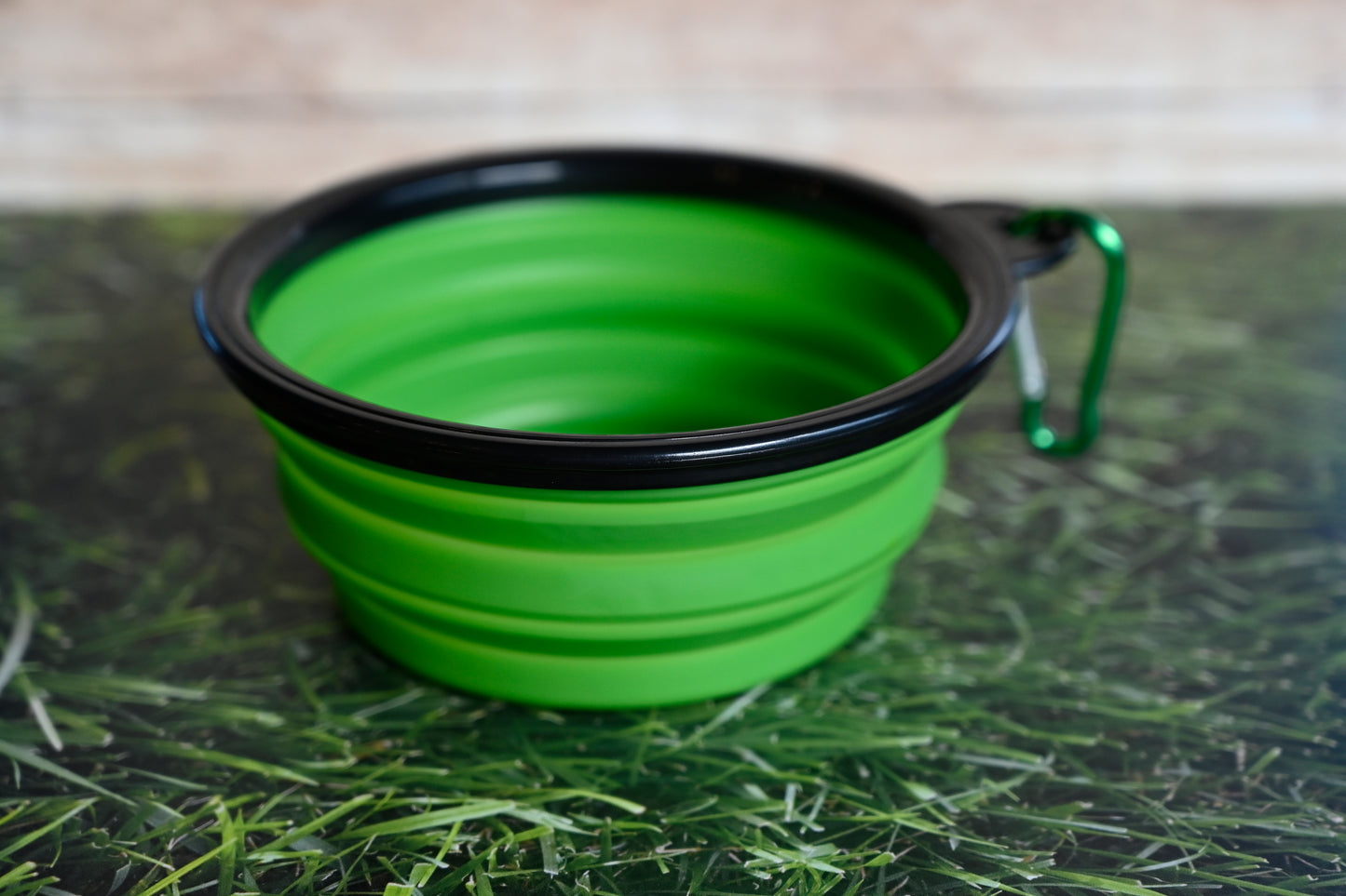 Collapsable Water Bowl