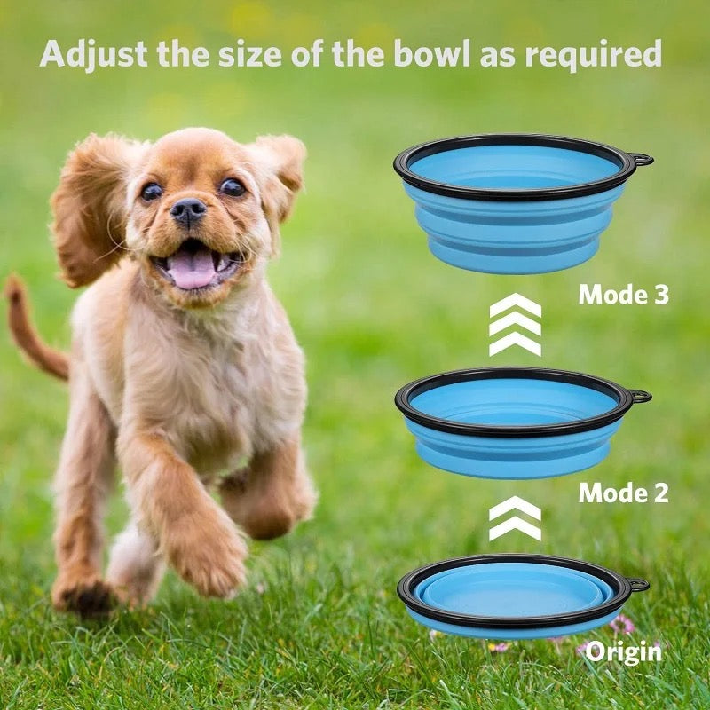 Collapsable Water Bowl