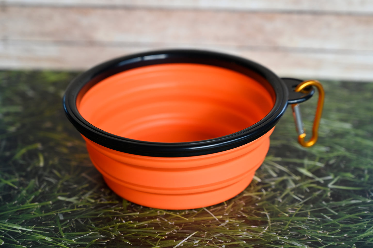 Collapsable Water Bowl