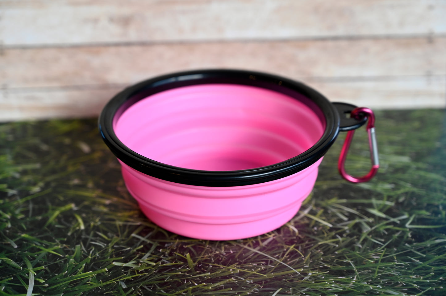 Collapsable Water Bowl