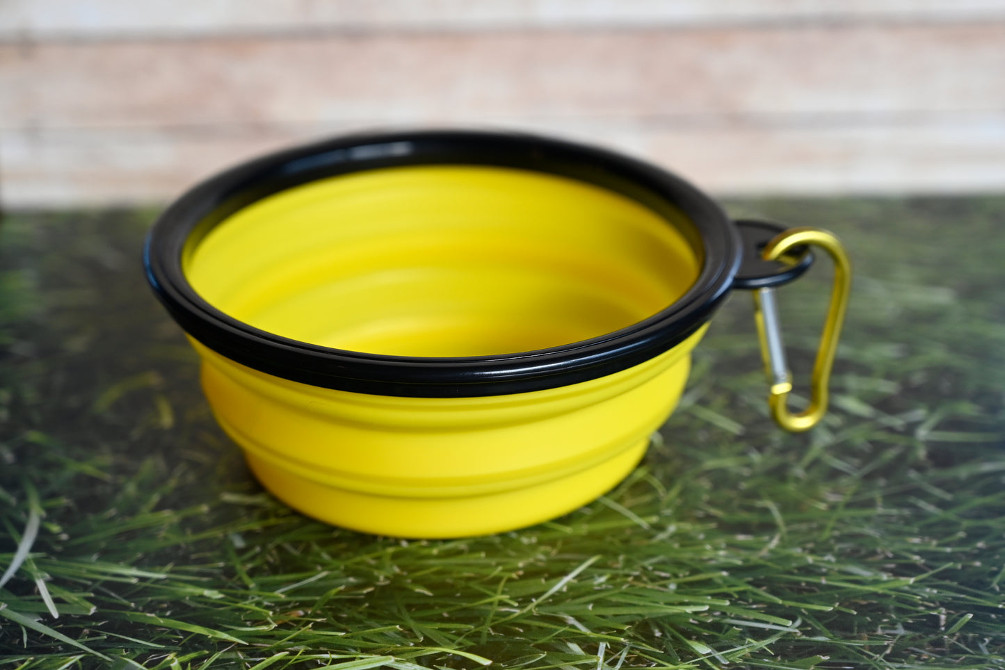 Collapsable Water Bowl