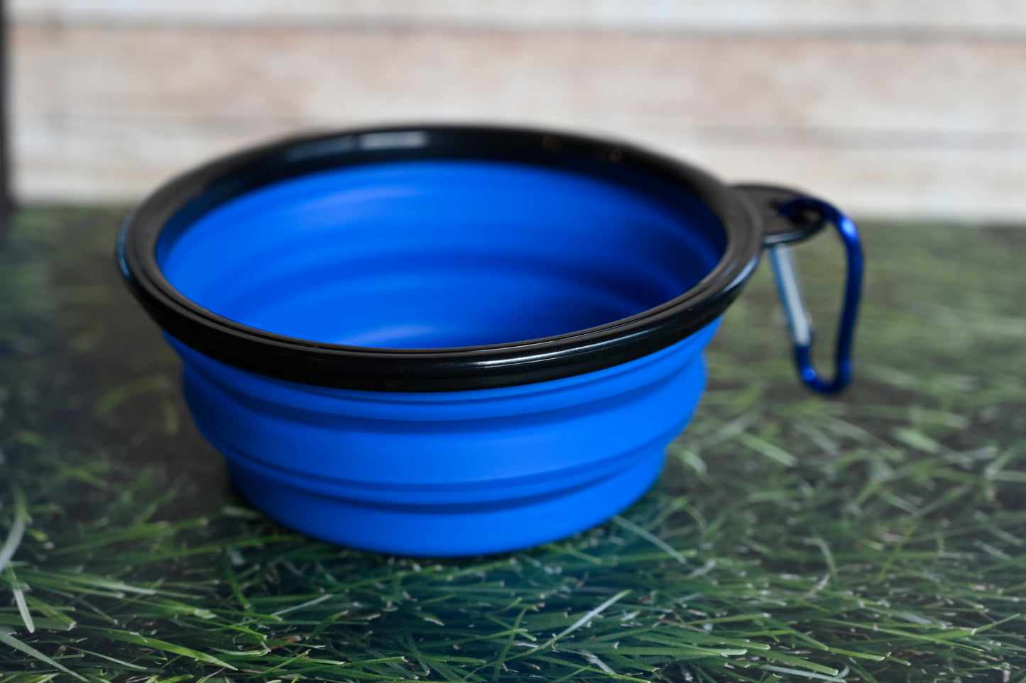 Collapsable Water Bowl