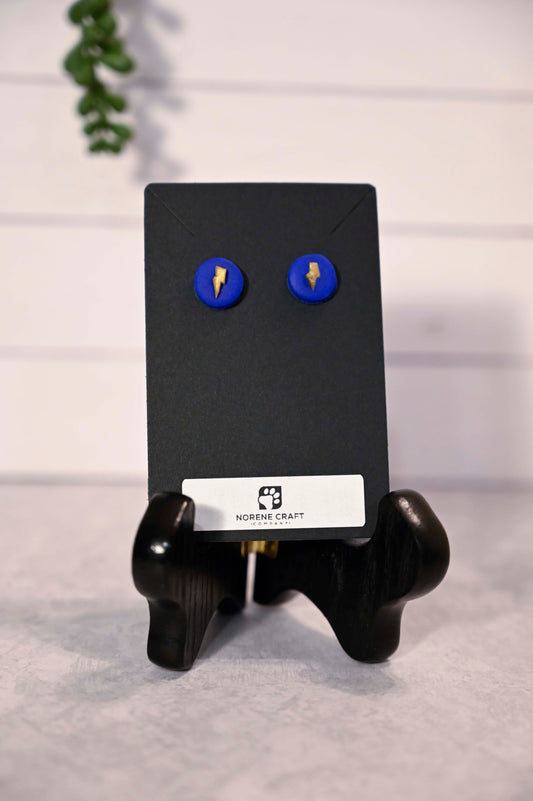 Wizard Boy House Earrings
