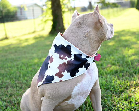 Cowhide Dog Bandanna